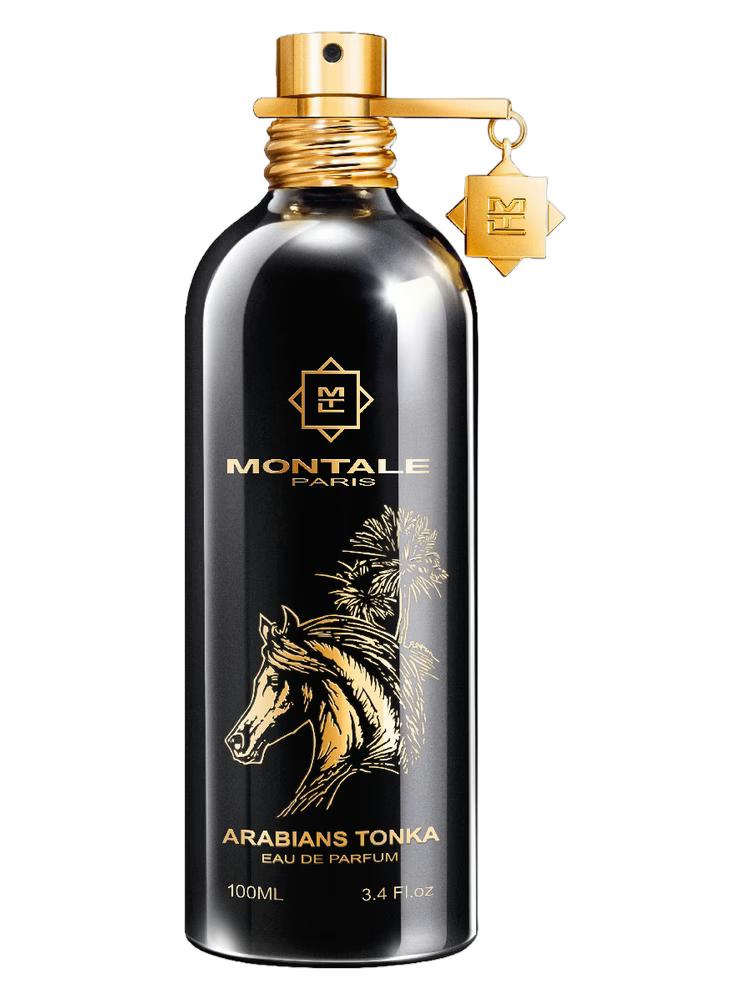 Arabians Tonka - Montale