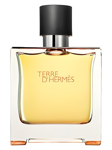 Terre d'Hermès Parfum - Hermès