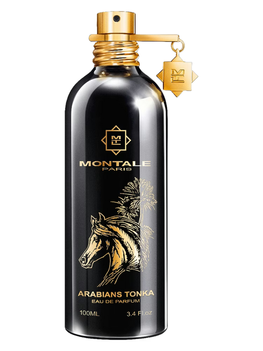 Arabians Tonka - Montale